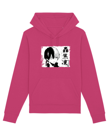  Shoto Todoroki  Raspberry