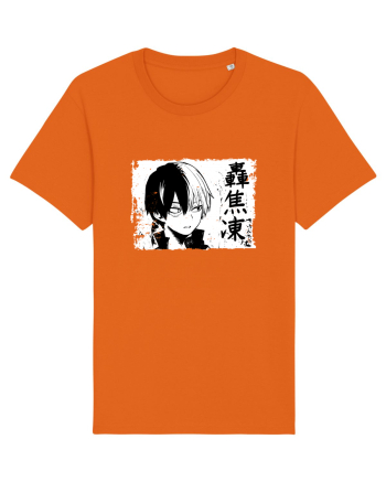 Shoto Todoroki  Bright Orange