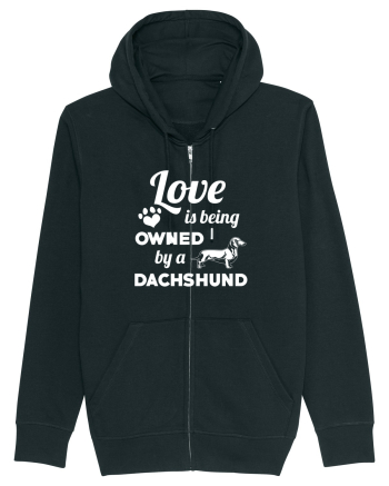 DACHSHUND Black