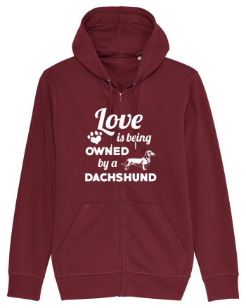 DACHSHUND Burgundy