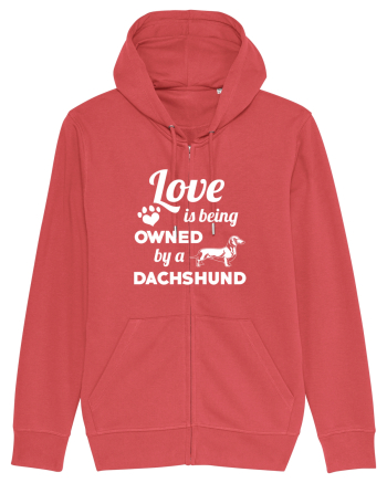 DACHSHUND Carmine Red