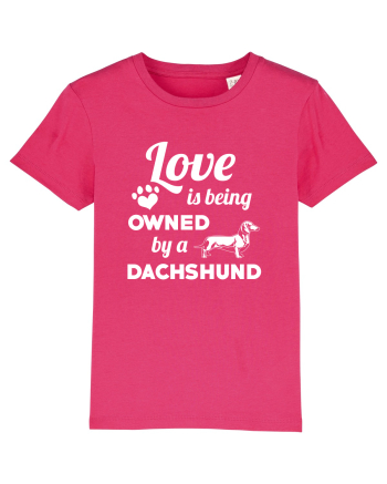 DACHSHUND Raspberry