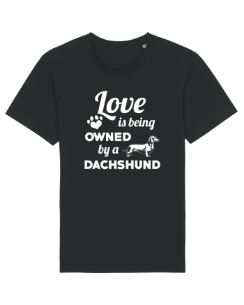 DACHSHUND Black