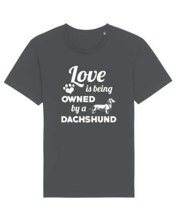 DACHSHUND Anthracite