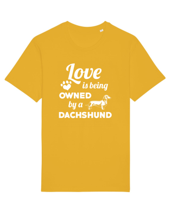 DACHSHUND Spectra Yellow