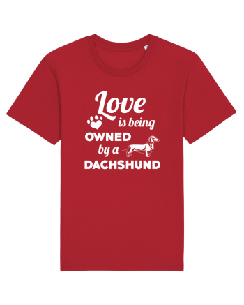 DACHSHUND Red