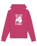 DACHSHUND Hanorac Unisex Drummer
