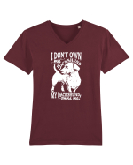 DACHSHUND Tricou mânecă scurtă guler V Bărbat Presenter