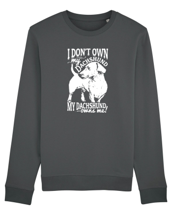 DACHSHUND Anthracite