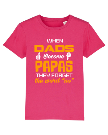 PAPA Raspberry