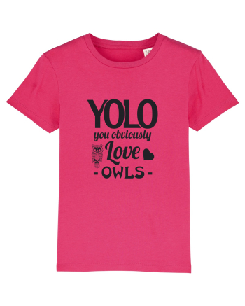 OWLS Raspberry