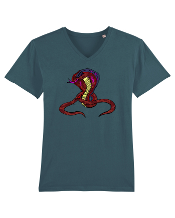 MONEY KING COBRA Stargazer