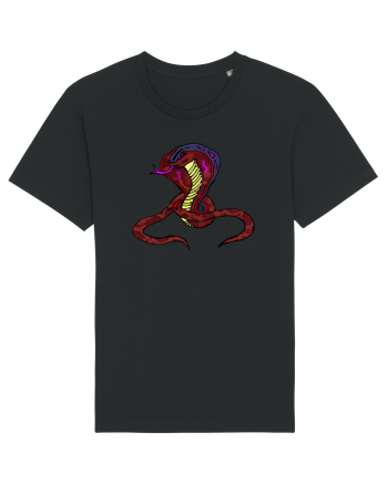MONEY KING COBRA Black