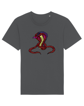 MONEY KING COBRA Anthracite