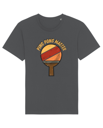 Ping Pong Master Anthracite