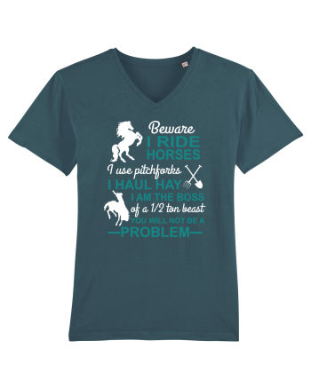 HORSE Stargazer