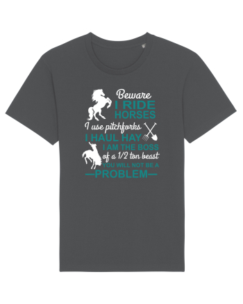 HORSE Anthracite