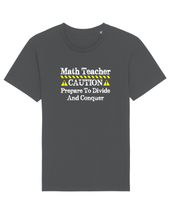 MATH TEACHER Anthracite