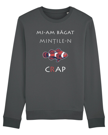 Mi-am băgat Mințile-n Cap (white) Anthracite