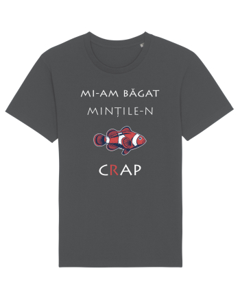 Mi-am băgat Mințile-n Cap (white) Anthracite