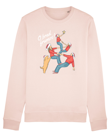 Pentru Crăciun în familie - O brad frumos Candy Pink