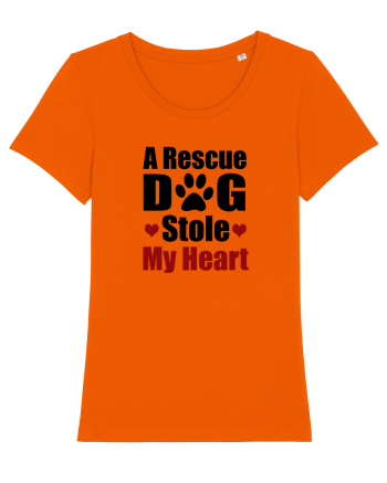 DOG Bright Orange