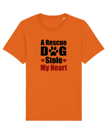 DOG Bright Orange