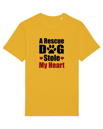 DOG Spectra Yellow