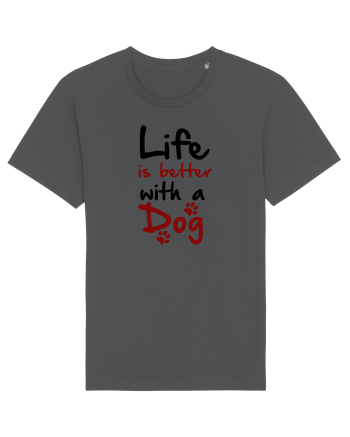 DOG Anthracite
