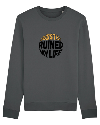 Dubstep Ruined My Life (sferă) Anthracite