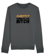Dubstep Ruined My Life B**ch Bluză mânecă lungă Unisex Rise