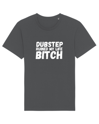 Dubstep Ruined My Life B**ch (alb) Anthracite