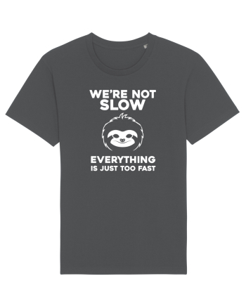 SLOTH Anthracite