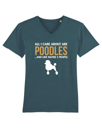 POODLES Stargazer