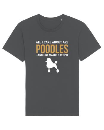 POODLES Anthracite