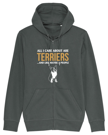 TERRIER Anthracite