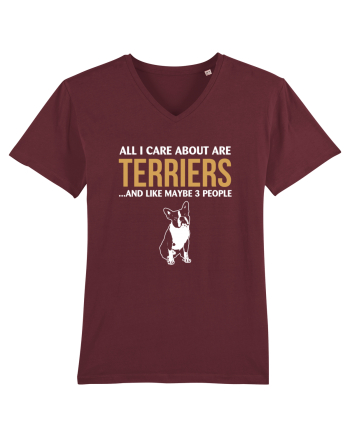 TERRIER Burgundy