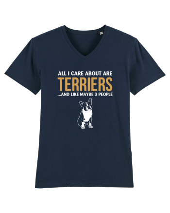 TERRIER French Navy