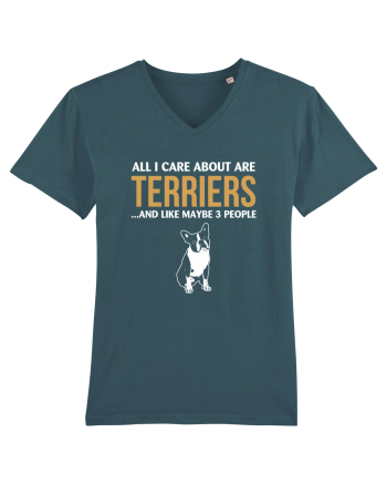 TERRIER Stargazer