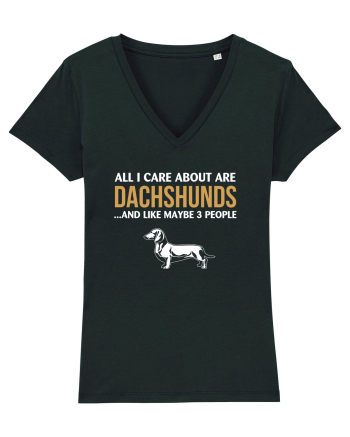 DACHSHUND Black