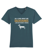DACHSHUND Tricou mânecă scurtă guler V Bărbat Presenter