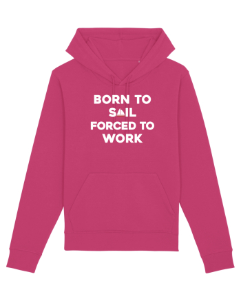SAIL Raspberry
