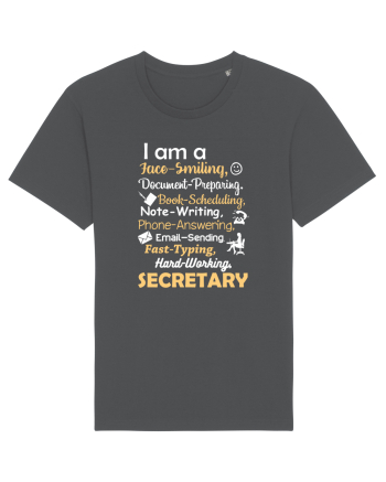 SECRETARY Anthracite