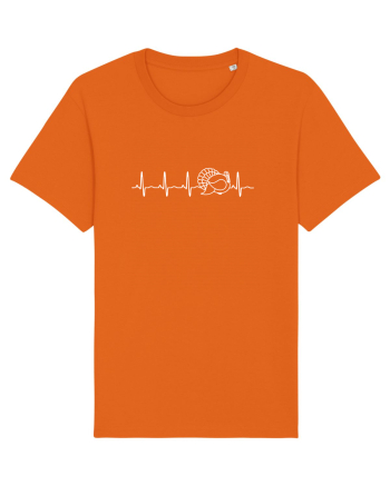 CURCAN Bright Orange