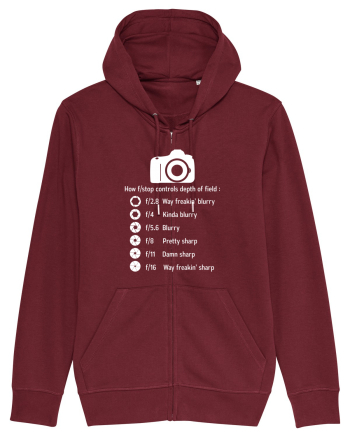 CAMERA Burgundy