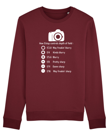 CAMERA Burgundy
