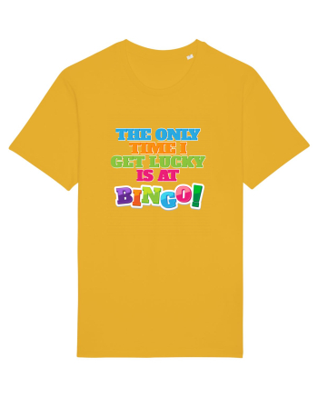 BINGO Spectra Yellow