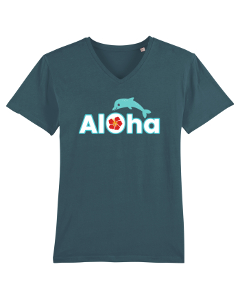 ALOHA Stargazer