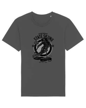 Championship Ski Black Anthracite