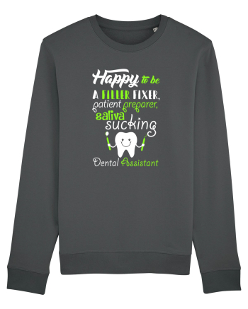 DENTAL ASSISTANT Anthracite